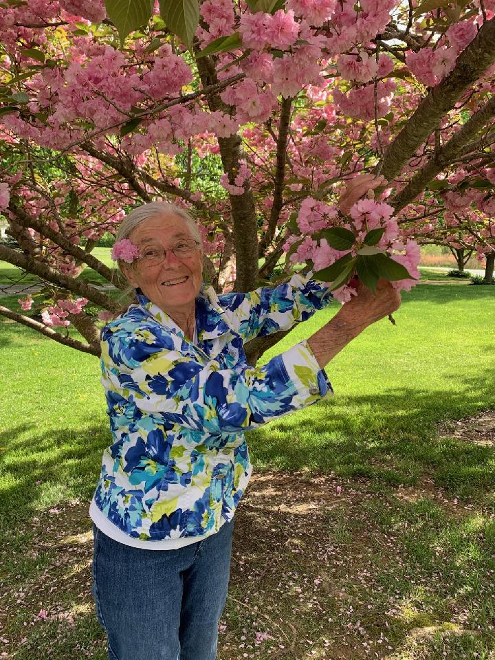 An elderly woman holds a vibrant pink flower